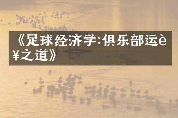 《足球经济学:俱乐部运营之道》