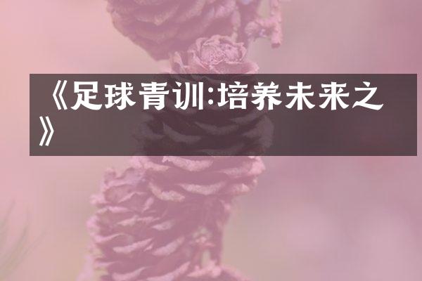 《足球青训:培养未来之星》