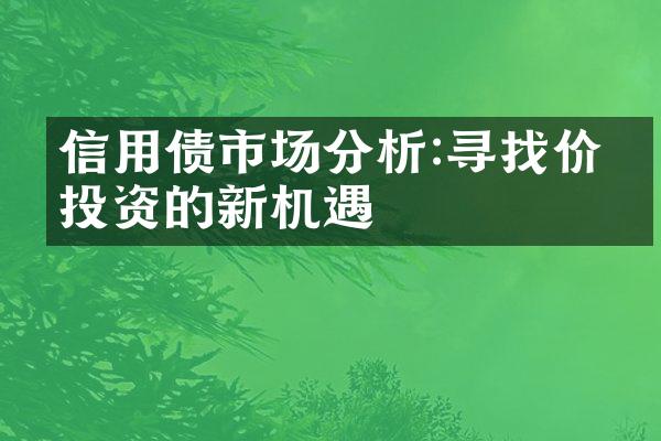 信用债市场分析:寻找价值投资的新机遇