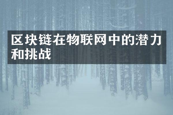 区块链在物联网中的潜力和挑战