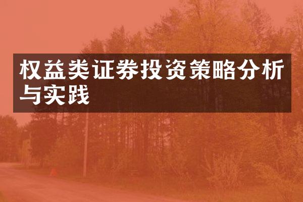 权益类证券投资策略分析与实践