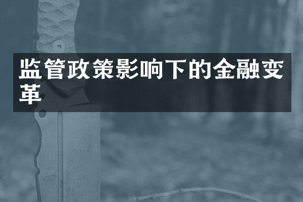 监管政策影响下的金融变革