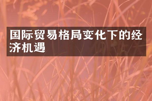 国际贸易格局变化下的经济机遇