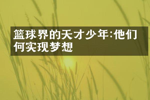 篮球界的天才少年:他们如何实现梦想