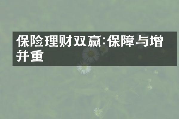 保险理财双赢:保障与增值并重