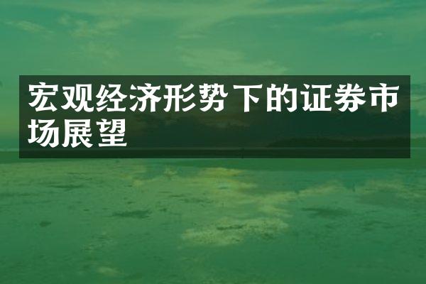 宏观经济形势下的证券市场展望