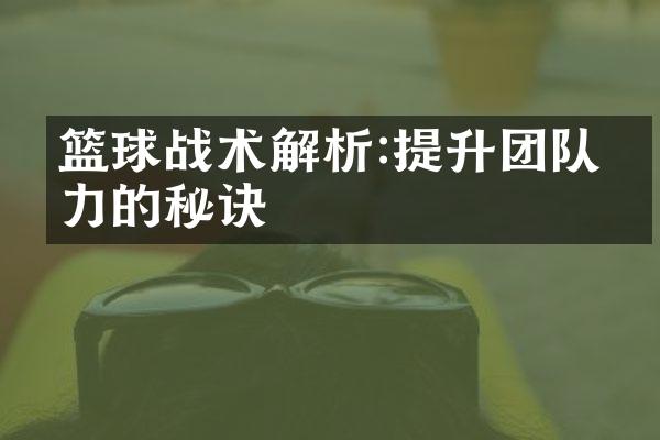 篮球战术解析:提升团队战力的秘诀