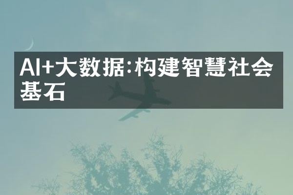 AI+数据:构建智慧社会的基石