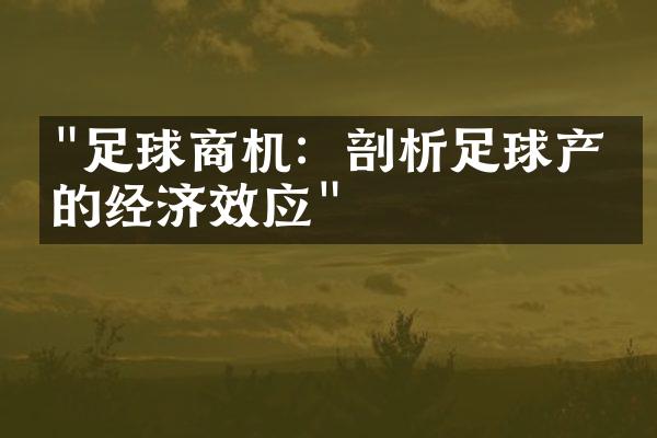 "足球商机：剖析足球产业的经济效应"