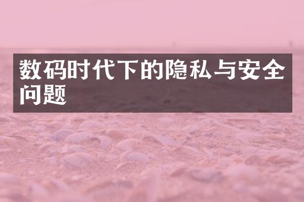 数码时代下的隐私与安全问题