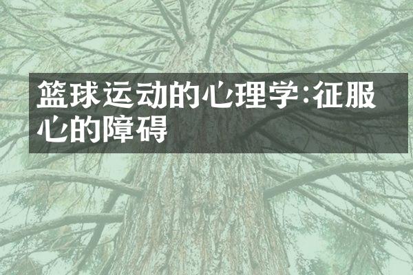 篮球运动的心理学:征服内心的障碍