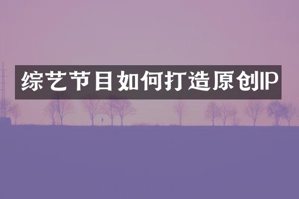 综艺节目如何打造原创IP