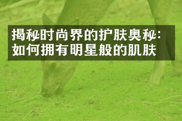 揭秘时尚界的护肤奥秘：如何拥有明星般的肌肤？