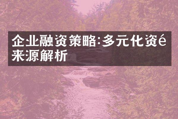 企业融资策略:多元化资金来源解析