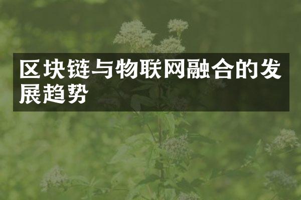 区块链与物联网融合的发展趋势