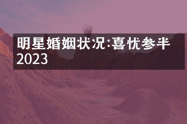 明星婚姻状况:喜忧参半的2023