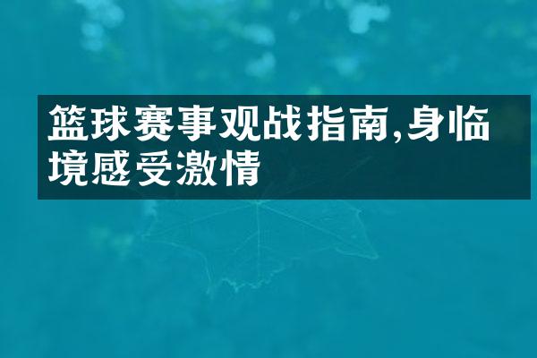 篮球赛事观战指南,身临其境感受激情