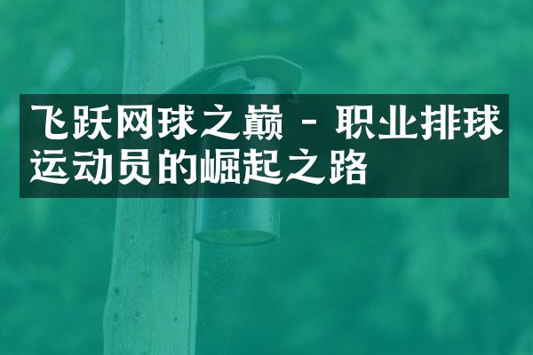 飞跃网球之巅 - 职业排球运动员的崛起之路