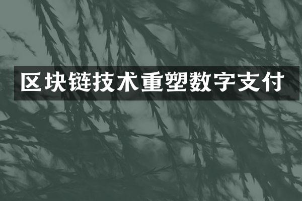 区块链技术重塑数字支付