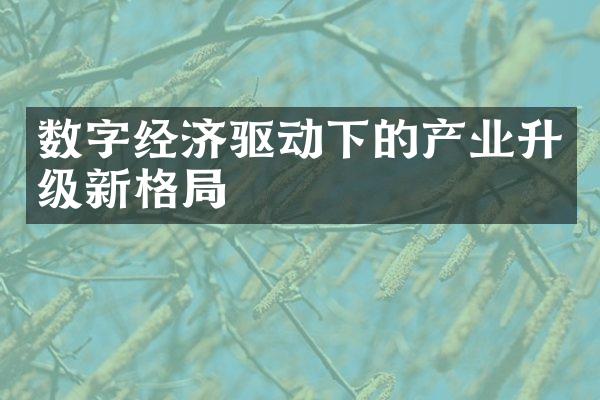 数字经济驱动下的产业升级新格局