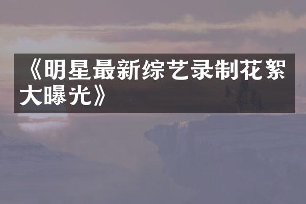 《明星最新综艺录制花絮大曝光》