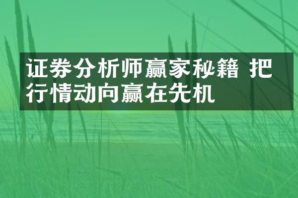 证券分析师赢家秘籍 把握行情动向赢在先机