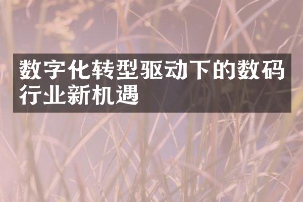 数字化转型驱动下的数码行业新机遇