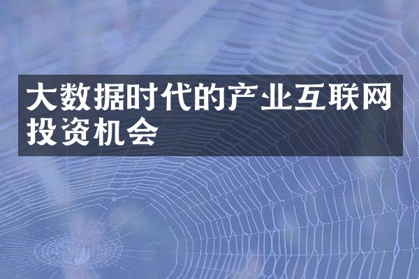 大数据时代的产业互联网投资机会