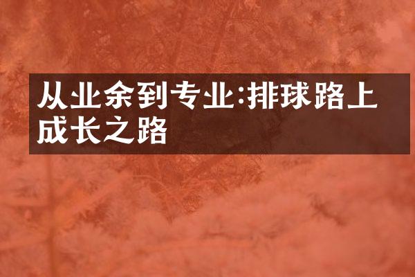 从业余到专业:排球路上的成长之路