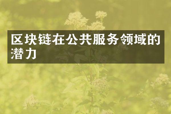 区块链在公共服务领域的潜力