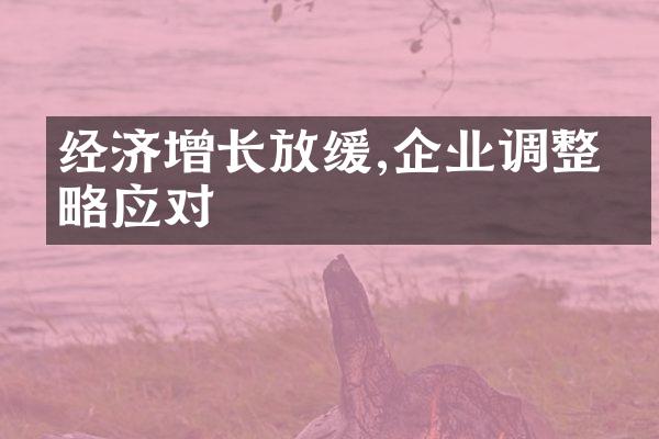 经济增长放缓,企业调整策略应对