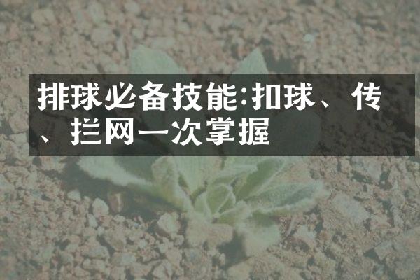 排球必备技能:扣球、传球、拦网一次掌握