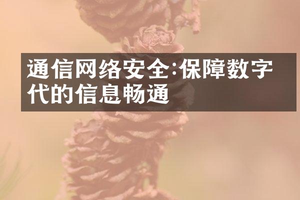 通信网络安全:保障数字时代的信息畅通