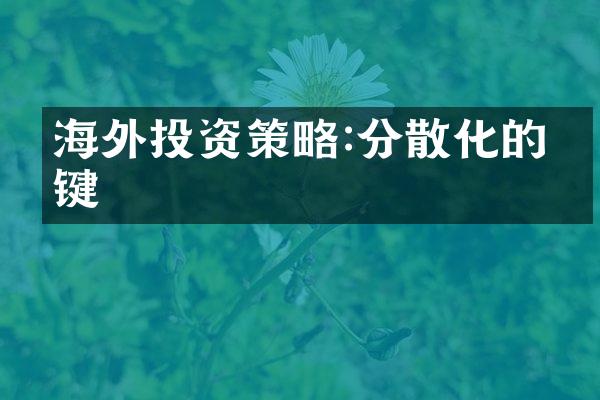 海外投资策略:分散化的关键