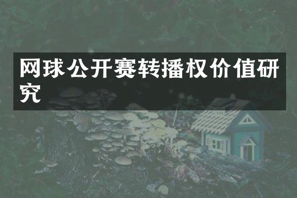 网球公开赛转播权价值研究