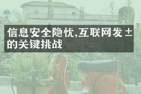 信息安全隐忧,互联网发展的关键挑战