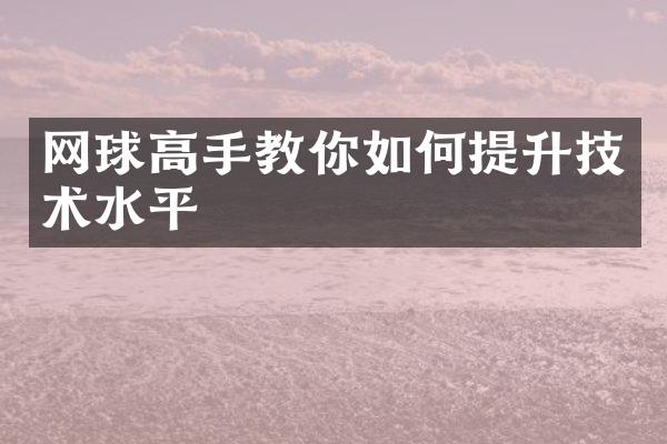 网球高手教你如何提升技术水平