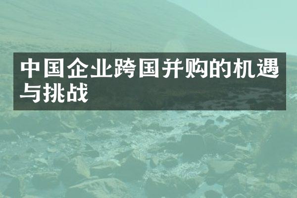 中国企业跨国并购的机遇与挑战