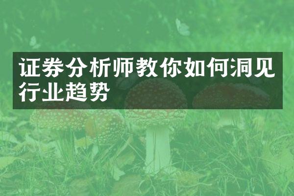 证券分析师教你如何洞见行业趋势