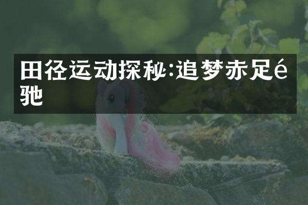 田径运动探秘:追梦赤足飞驰