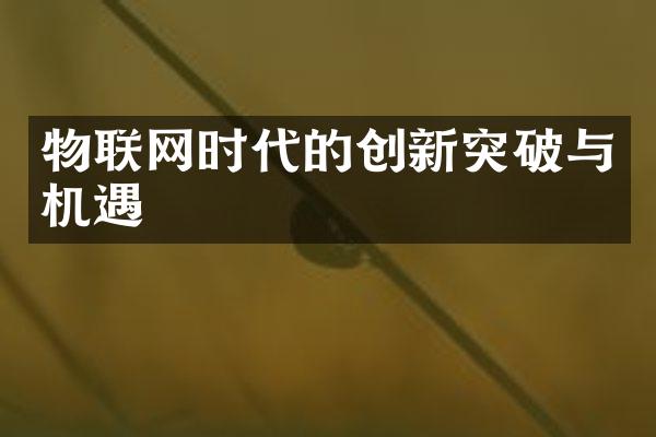 物联网时代的创新突破与机遇