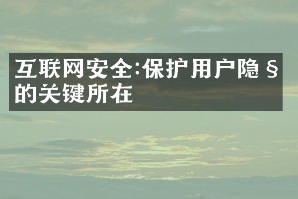 互联网安全:保护用户隐私的关键所在