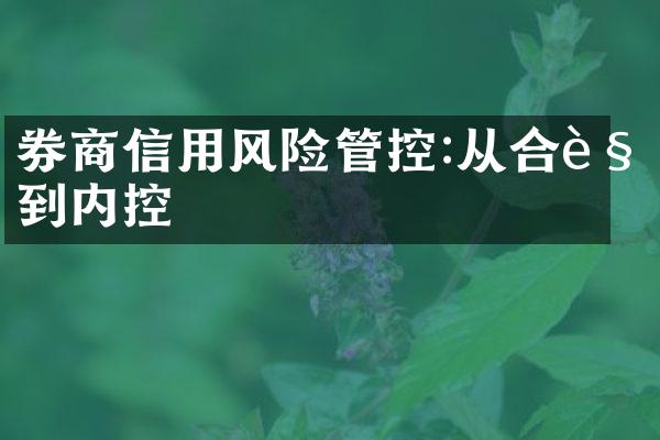 券商信用风险管控:从合规到内控