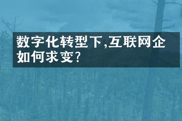 数字化转型下,互联网企业如何求变?