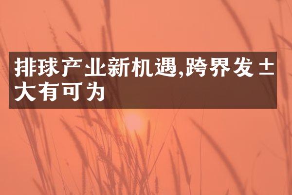 排球产业新机遇,跨界发展有可为