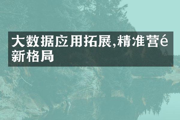 大数据应用拓展,精准营销新格局