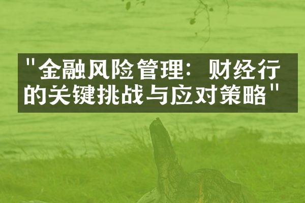 "金融风险管理：财经行业的关键挑战与应对策略"