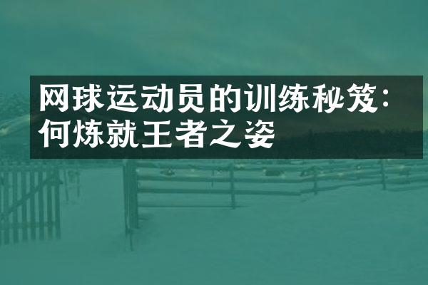 网球运动员的训练秘笈:如何炼就王者之姿