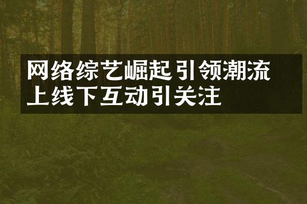 网络综艺崛起引领潮流 线上线下互动引关注