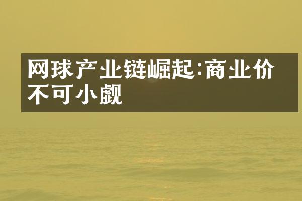 网球产业链崛起:商业价值不可小觑